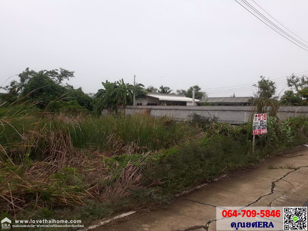 ที่ดินเปล่าถนนวัดลาดปลาดุก-พื้นที่-224-ตรวซอยวัดเต็มรักสามัคคี-เขต-บางบัวทอง